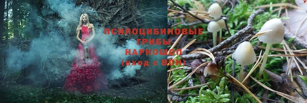 гидропоника Михайлов