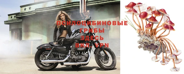 сатива Мегион