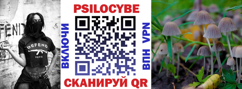 Галлюциногенные грибы Psilocybine cubensis  OMG зеркало  Сусуман 